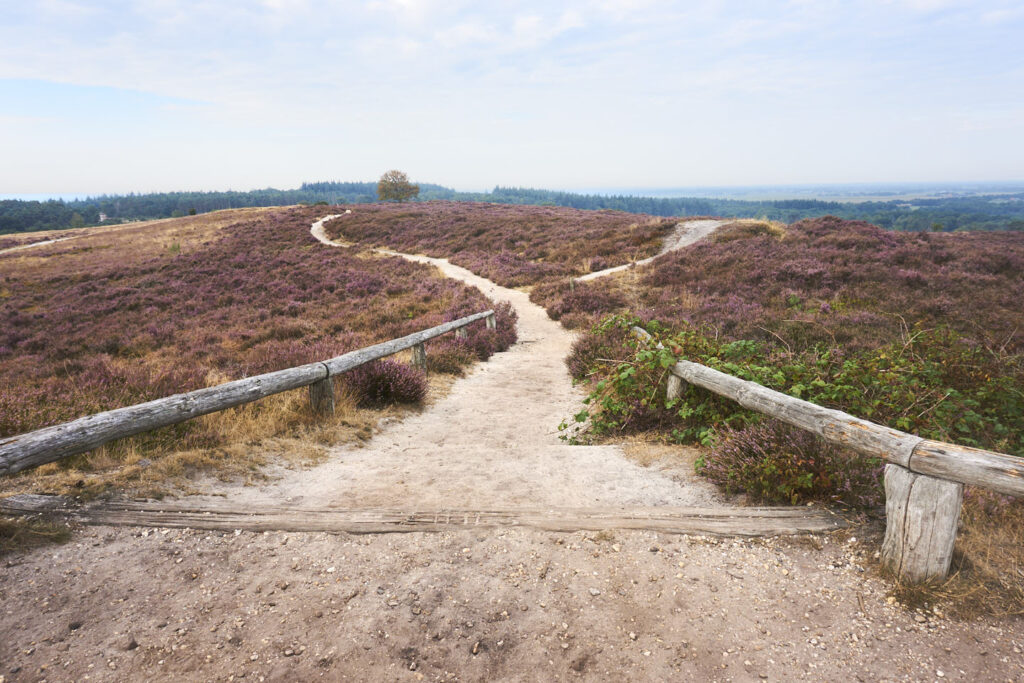 Lemelerberg Wandelen