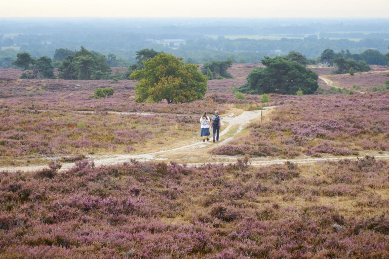 Lemelerberg wandelen